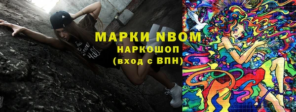 шишки Алексин