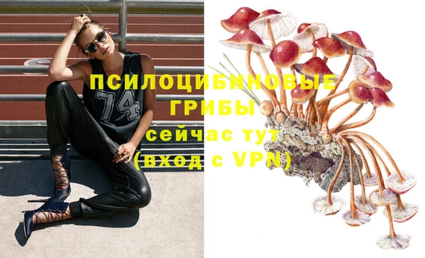 шишки Алексин