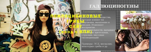 шишки Алексин