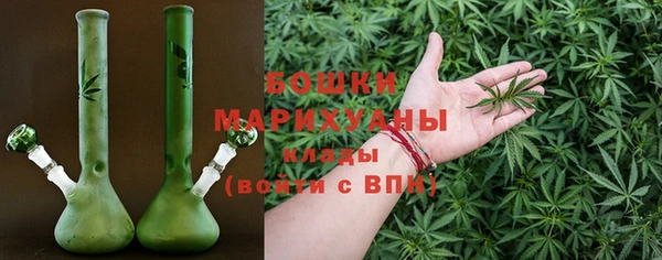 шишки Алзамай