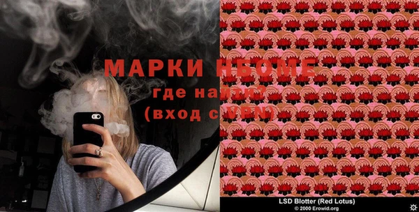 шишки Алексин