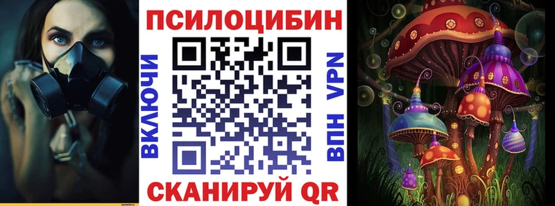 Галлюциногенные грибы Psilocybe  мориарти какой сайт  Артём  закладка  блэк спрут ТОР 